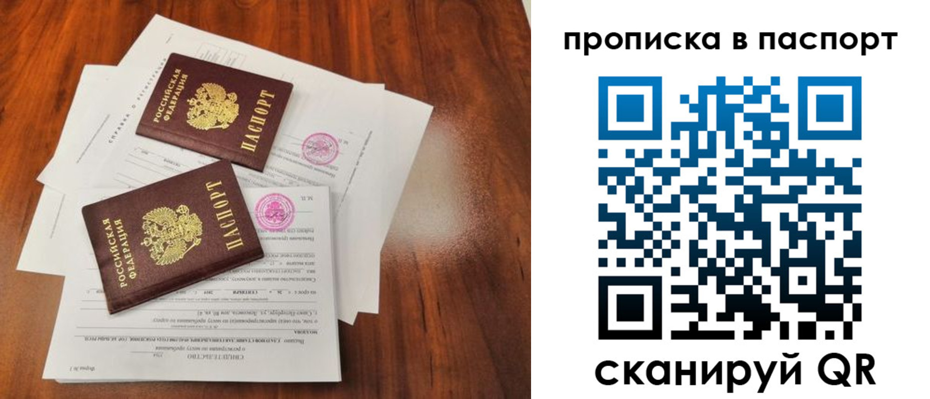прописка в квартире в Димитровграде